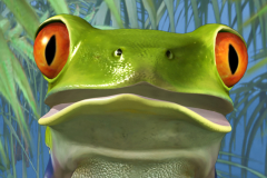 TheFrog2_sad_0065
